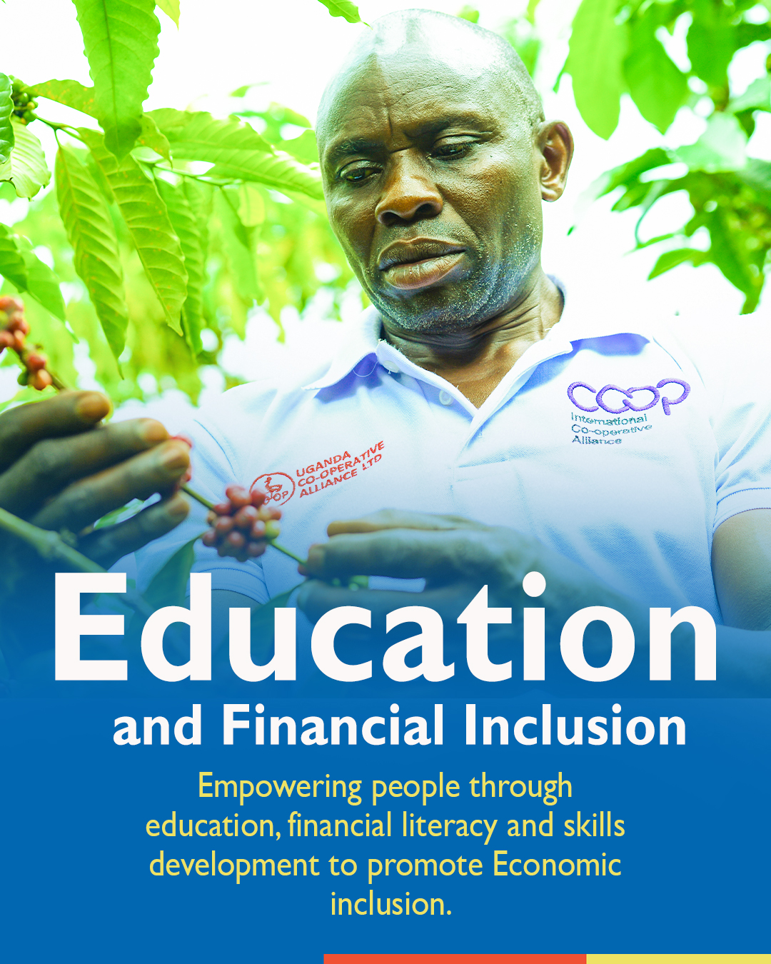 Education and Social Impact Innovations