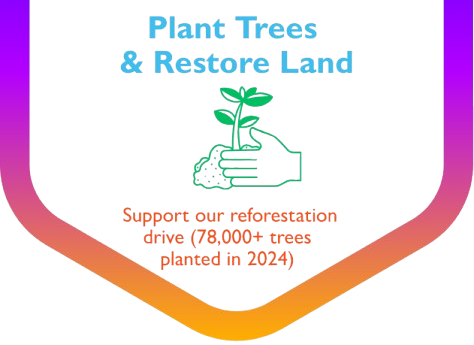 Plant Trees & Restore Land